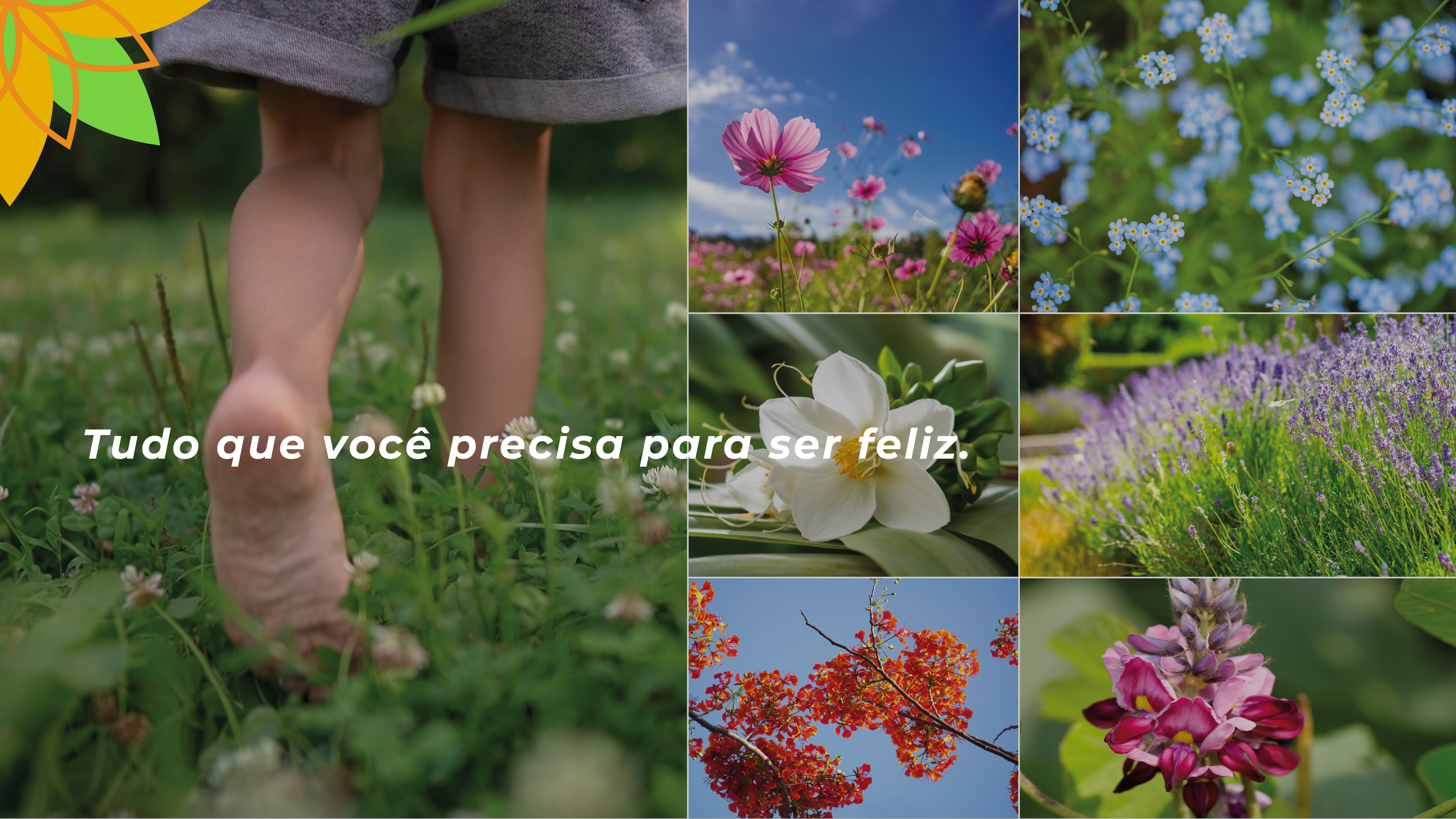 Condomínio Residencial em Rodovia Go-469 sentido Abadia de Goiás Para Aragoiania  - Foto 41 de Condomínio Flora Parque